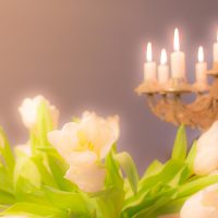 lovediner-titi-laflora